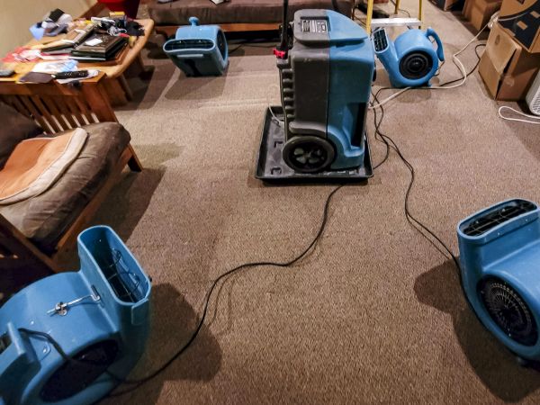 Cost of Flood Damage Recovery in Chandler
