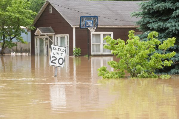 Cost of Storm Restoration Service in Chandler