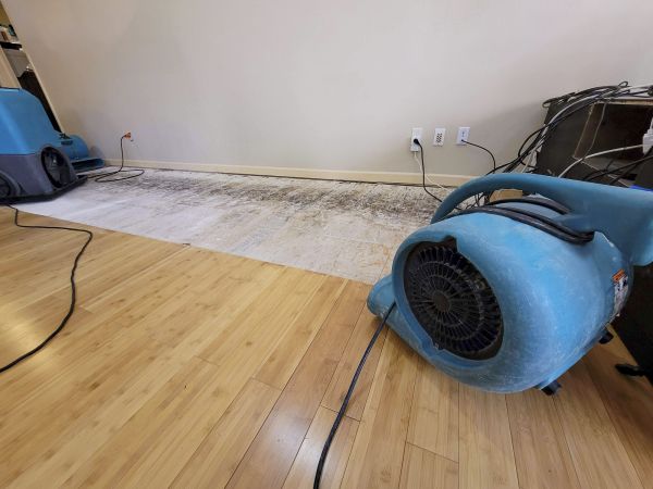 Cost of Water Damage Mitigation in Chandler