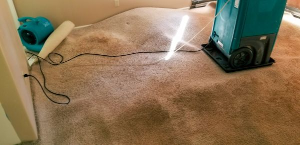 Cost of Flood Damage Cleanup in Chandler