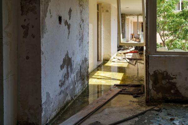 Cost of Water Removal Service in Chandler