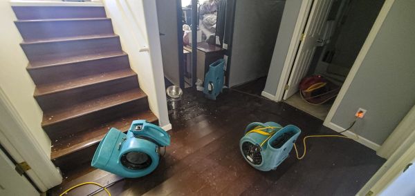 Cost of Water Damage Remediation in Chandler