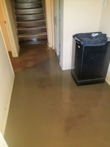 Cost of Emergency Water Removal in Chandler