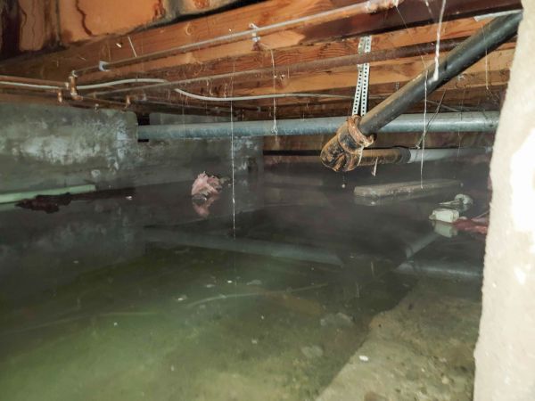 Cost of Crawl Space Drying in Chandler