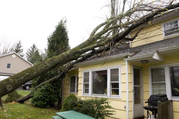 Hurricane Damage Repair in Chandler